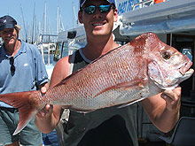 Sunshine Coast Fishing Charters - Yamba Accommodation 2