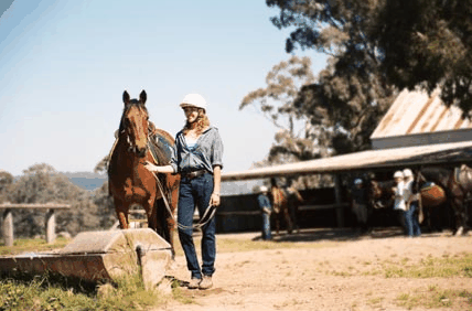 Watsons Trail Rides - Yamba Accommodation 0