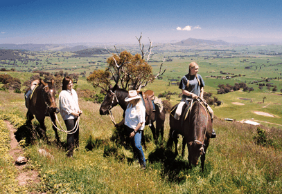 Watsons Trail Rides - Yamba Accommodation 2