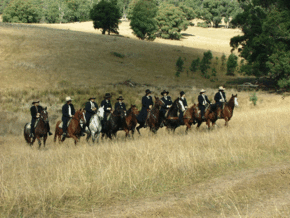 McCormacks Mountain Valley Trail Rides - Yamba Accommodation