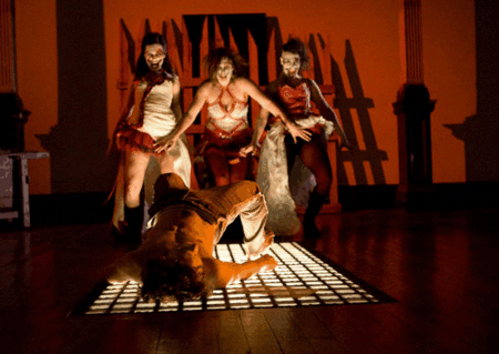 Zen Zen Zo Physical Theatre - Yamba Accommodation 1