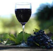 Lion Mill Vineyards - Yamba Accommodation