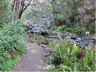 Stevensons Falls - Yamba Accommodation 1