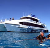 Silver Swift - Yamba Accommodation