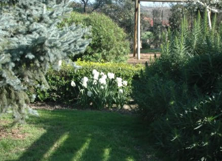 The Old Cheese Factory - Yamba Accommodation 2