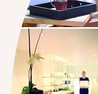 Lyall Hotel and Spa - Yamba Accommodation