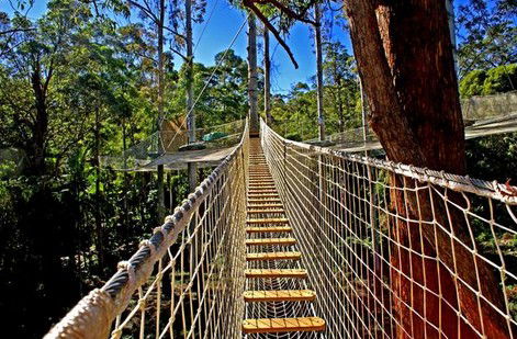 FreemanX Experience - Yamba Accommodation 2