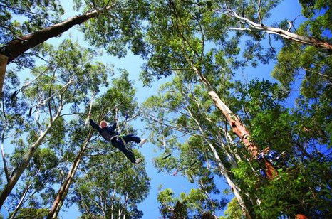 FreemanX Experience - Yamba Accommodation 5