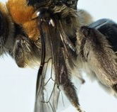 Western Australian Museum - Yamba Accommodation