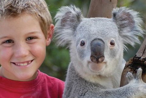 Featherdale Wildlife Park - Yamba Accommodation 1
