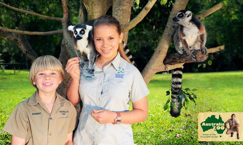 Australia Zoo - Yamba Accommodation 2