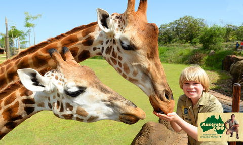 Australia Zoo - Yamba Accommodation 4