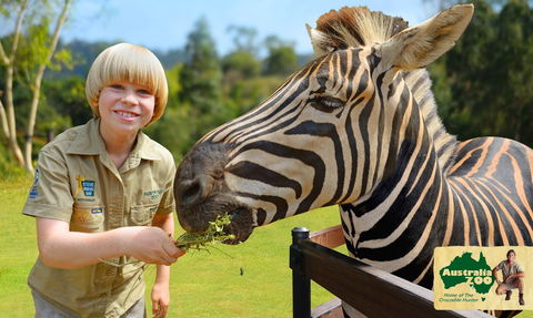 Australia Zoo - Yamba Accommodation 5