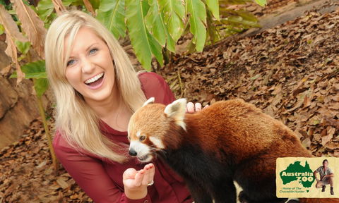 Australia Zoo - Yamba Accommodation 7