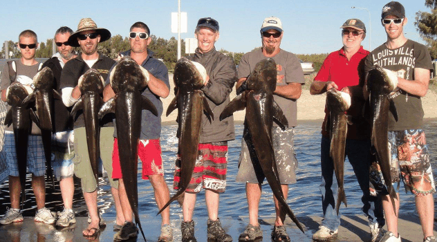 BKs Gold Coast Fishing Charters - Yamba Accommodation 1