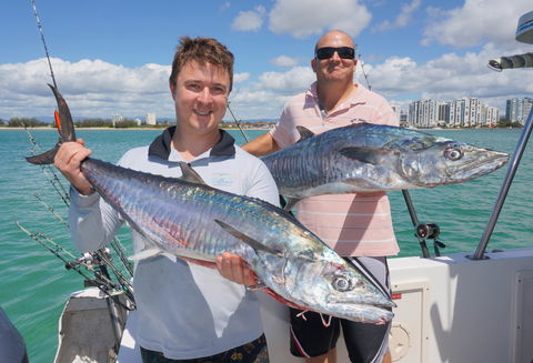 BKs Gold Coast Fishing Charters - Yamba Accommodation 6