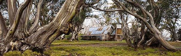 High Country Scenic Tours - Yamba Accommodation