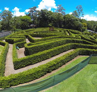 Bellingham Maze - Yamba Accommodation