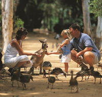 Billabong Sanctuary - Yamba Accommodation