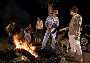 Cairns Night Zoo - Yamba Accommodation