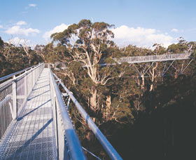  Yamba Accommodation