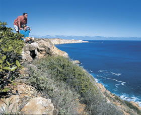 Cape Cuvier Coast - Yamba Accommodation 0