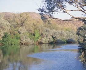 Alligator Hole - Yamba Accommodation 0