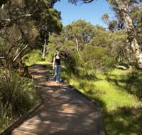Leschenault Peninsula Conservation Park - Yamba Accommodation