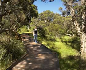 Leschenault Peninsula Conservation Park - Yamba Accommodation 0
