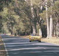 Ludlow Tuart Forest - Yamba Accommodation