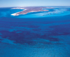Dirk Hartog Island - Yamba Accommodation 0