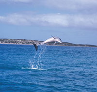 Steep Point - Yamba Accommodation