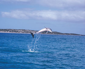 Steep Point - Yamba Accommodation 0