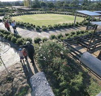 Kojonup Rose Maze - Yamba Accommodation