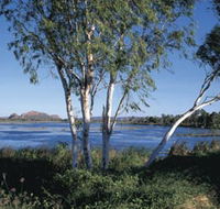 Celebrity Tree Park - Yamba Accommodation