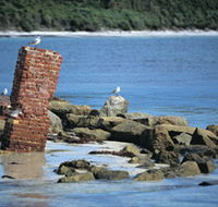 Whalers Beach - Yamba Accommodation