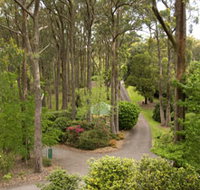Mount Lofty Botanic Garden - Yamba Accommodation