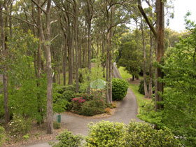 Mount Lofty Botanic Garden - Yamba Accommodation 0