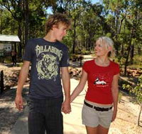 Crooked Brook Forest - Yamba Accommodation