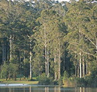 Big Brook Dam - Yamba Accommodation