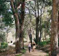Law Trail and Lotterywest Federation Walkway Kings Park - Yamba Accommodation
