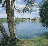 Bandicoot Bar - Yamba Accommodation