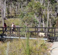 Forest Path Crooked Brook - Yamba Accommodation