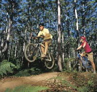 Leeuwin-Naturaliste National Park - Cowaramup - Yamba Accommodation