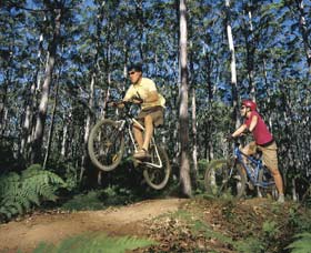 Leeuwin-Naturaliste National Park - Cowaramup - Yamba Accommodation 0