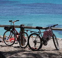 Parker Point Marine Snorkel Trail - Yamba Accommodation