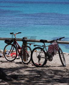 Parker Point Marine Snorkel Trail - Yamba Accommodation 0
