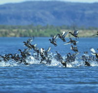 Ord River - Yamba Accommodation