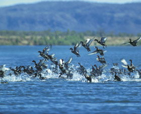 Ord River - Yamba Accommodation 0