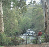 Cascades - Yamba Accommodation
